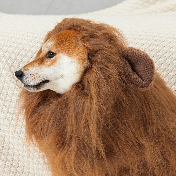 Pet Wig Funny Lion Headgear Hat